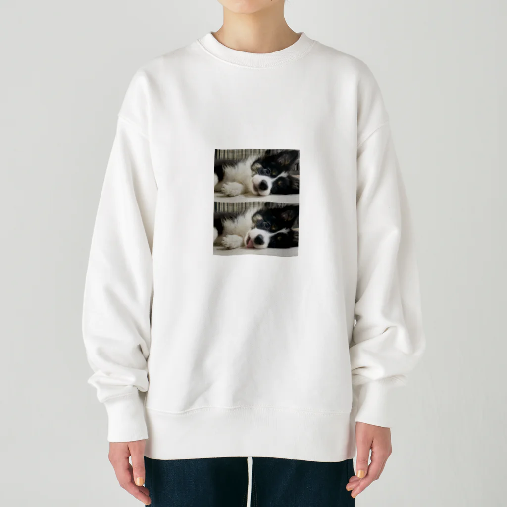 【お店】ボーダーコリーのモクの床 Heavyweight Crew Neck Sweatshirt