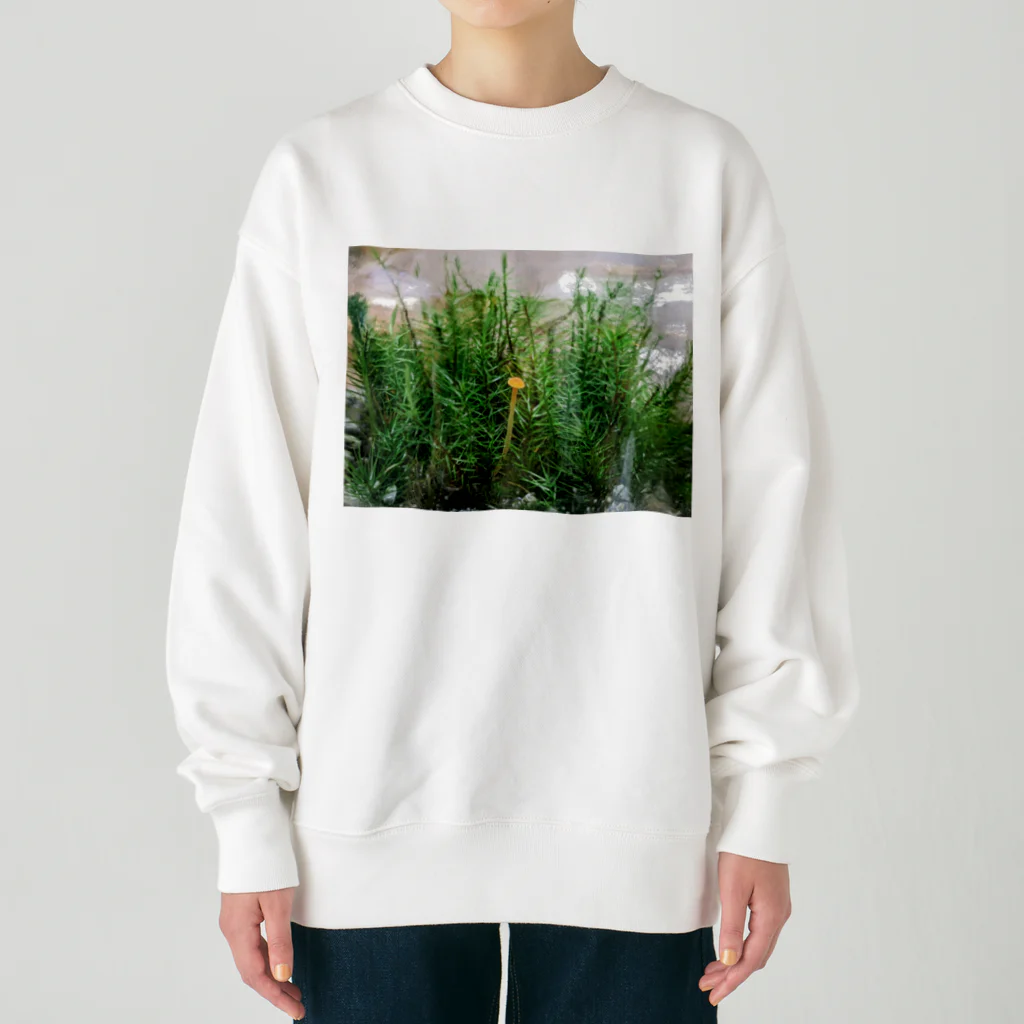 アトリエWindwingのキノコと苔テラリウム Heavyweight Crew Neck Sweatshirt