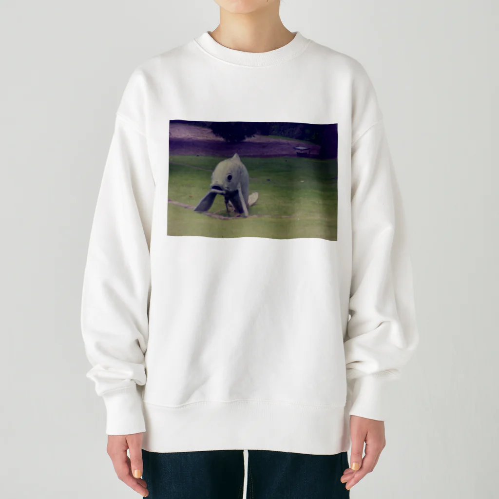 Robin_Hiroshimaのリスボンの公園に居た鯉 Heavyweight Crew Neck Sweatshirt