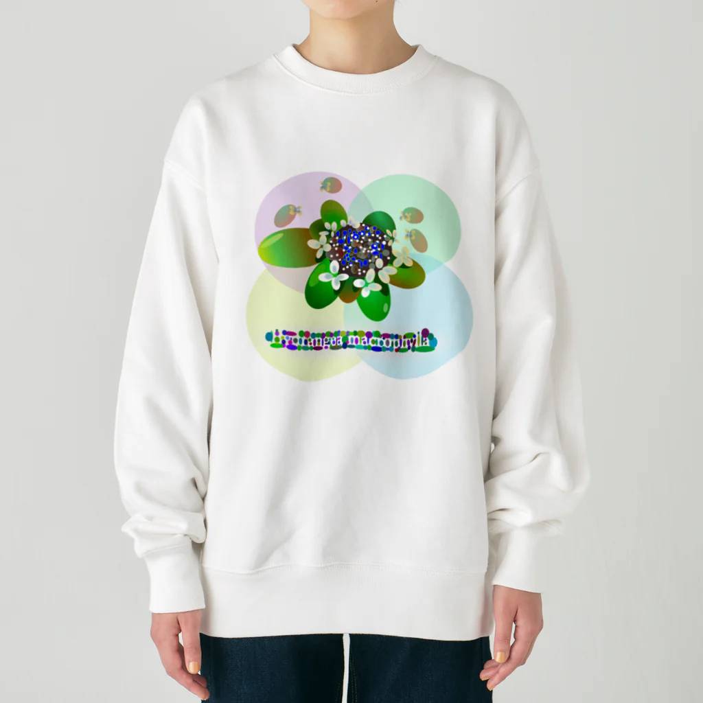 『NG （Niche・Gate）』ニッチゲート-- IN SUZURIの〇絵『額紫陽花h.t.』 Heavyweight Crew Neck Sweatshirt