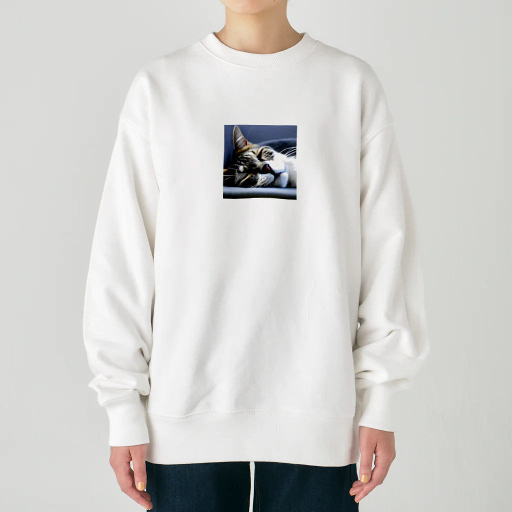 HYUGOの寝顔ドアップのキュートな猫 Heavyweight Crew Neck Sweatshirt