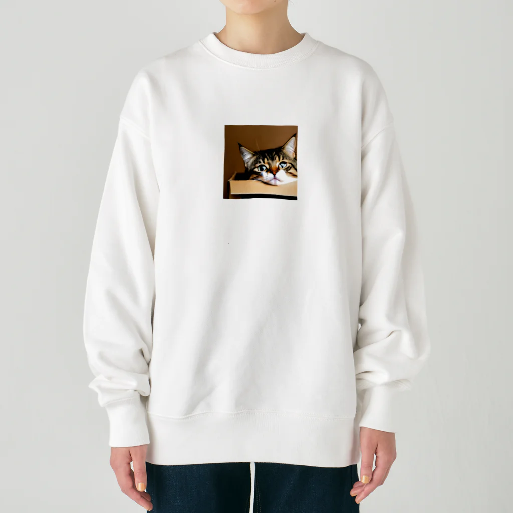 チェリオの箱に入った可愛い猫 Heavyweight Crew Neck Sweatshirt