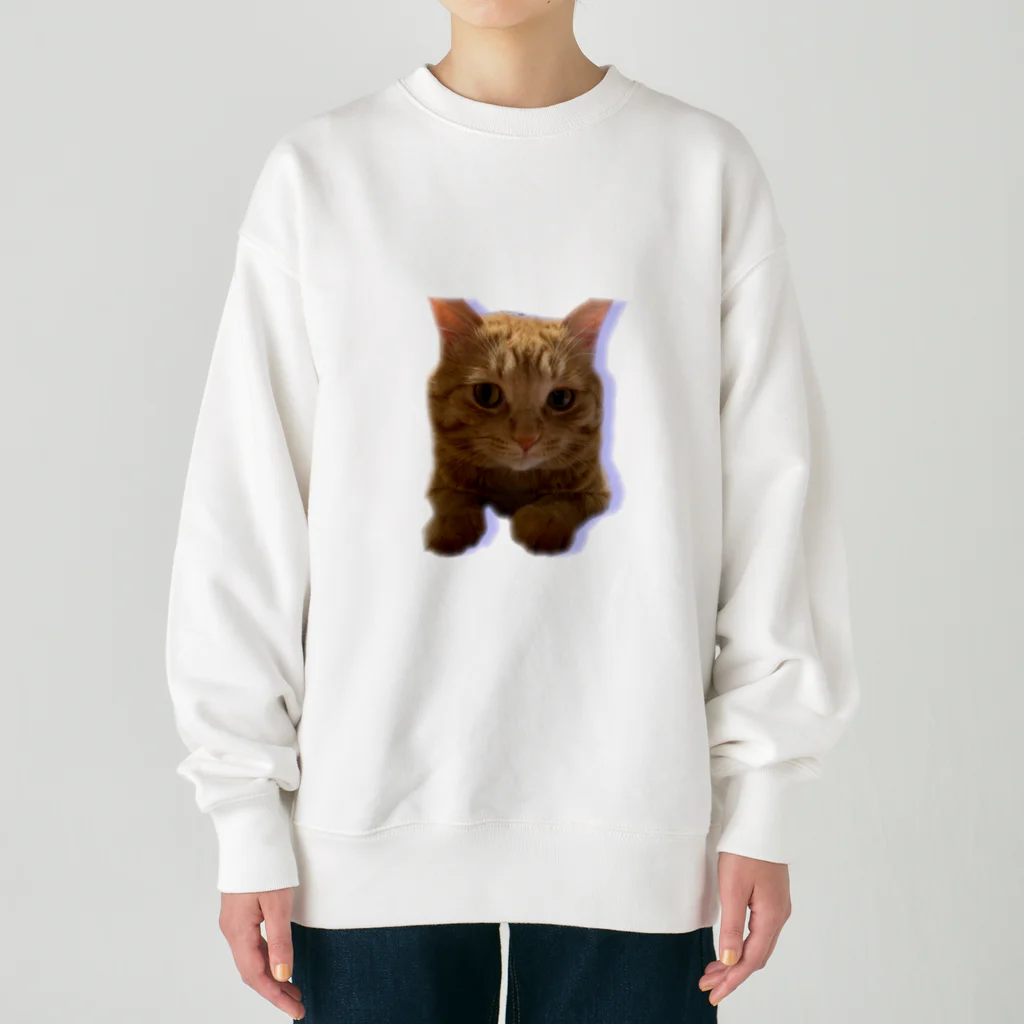 めんけ猫。の我が家の猫くんです。 Heavyweight Crew Neck Sweatshirt