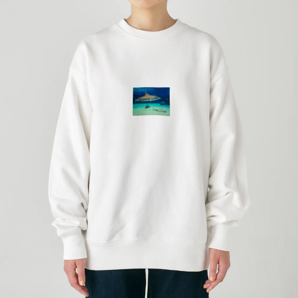 ふとまにショップのさめザメくんグッズ Heavyweight Crew Neck Sweatshirt