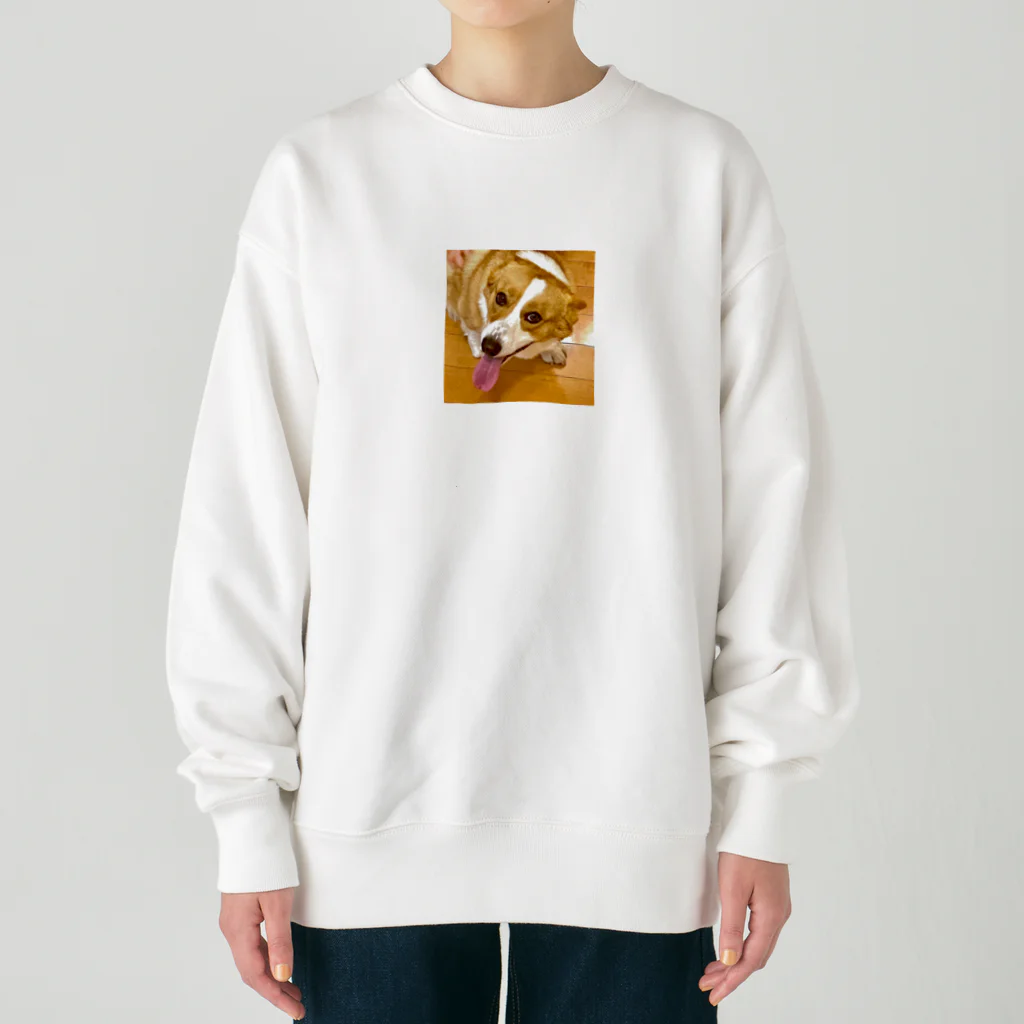 "Canvas Harmony"の笑顔溢れるコーギー、あおくん Heavyweight Crew Neck Sweatshirt