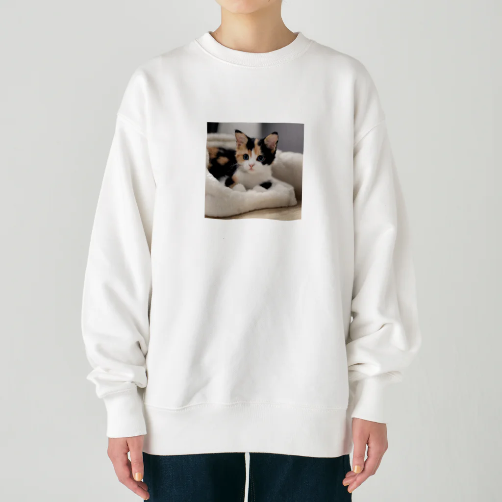 癒しリフレッシュの愛らしい子猫ちゃん Heavyweight Crew Neck Sweatshirt