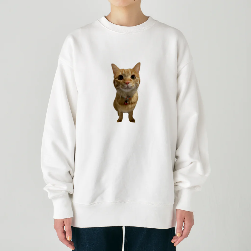 ういちゃんのラブリーういたん Heavyweight Crew Neck Sweatshirt