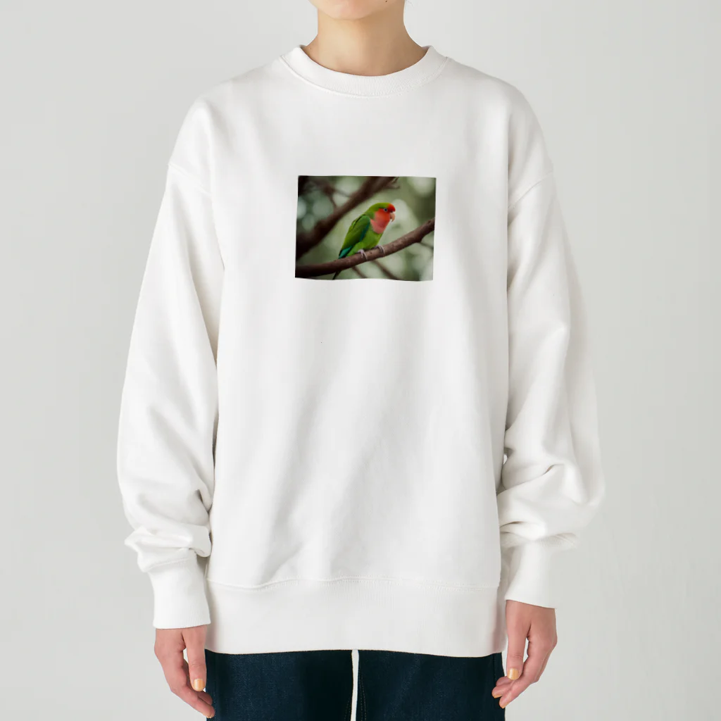 Kokoro-nagomu-Nagomiの鳥5　コザクラインコ Heavyweight Crew Neck Sweatshirt