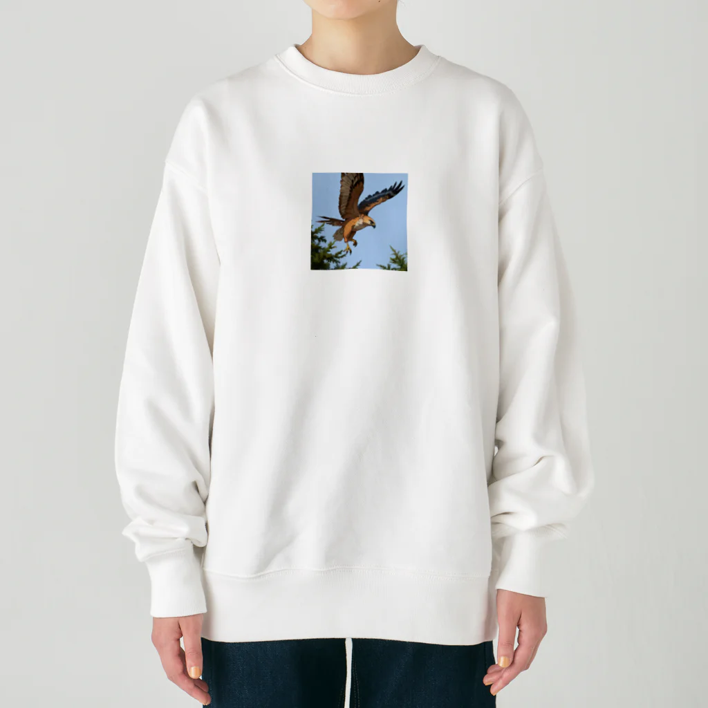 ganeshaの鳥の羽ばたきに続く鷹 Heavyweight Crew Neck Sweatshirt