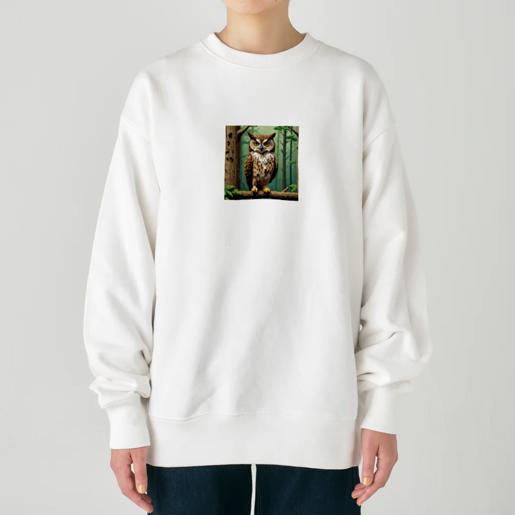 パグハグの魅力溢れる幸福のフクロウ Heavyweight Crew Neck Sweatshirt