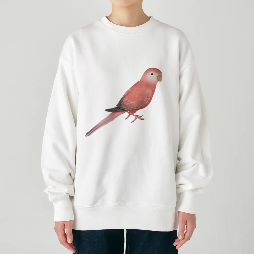 まめるりはことりのアキクサインコ　ピンク【まめるりはことり】 Heavyweight Crew Neck Sweatshirt