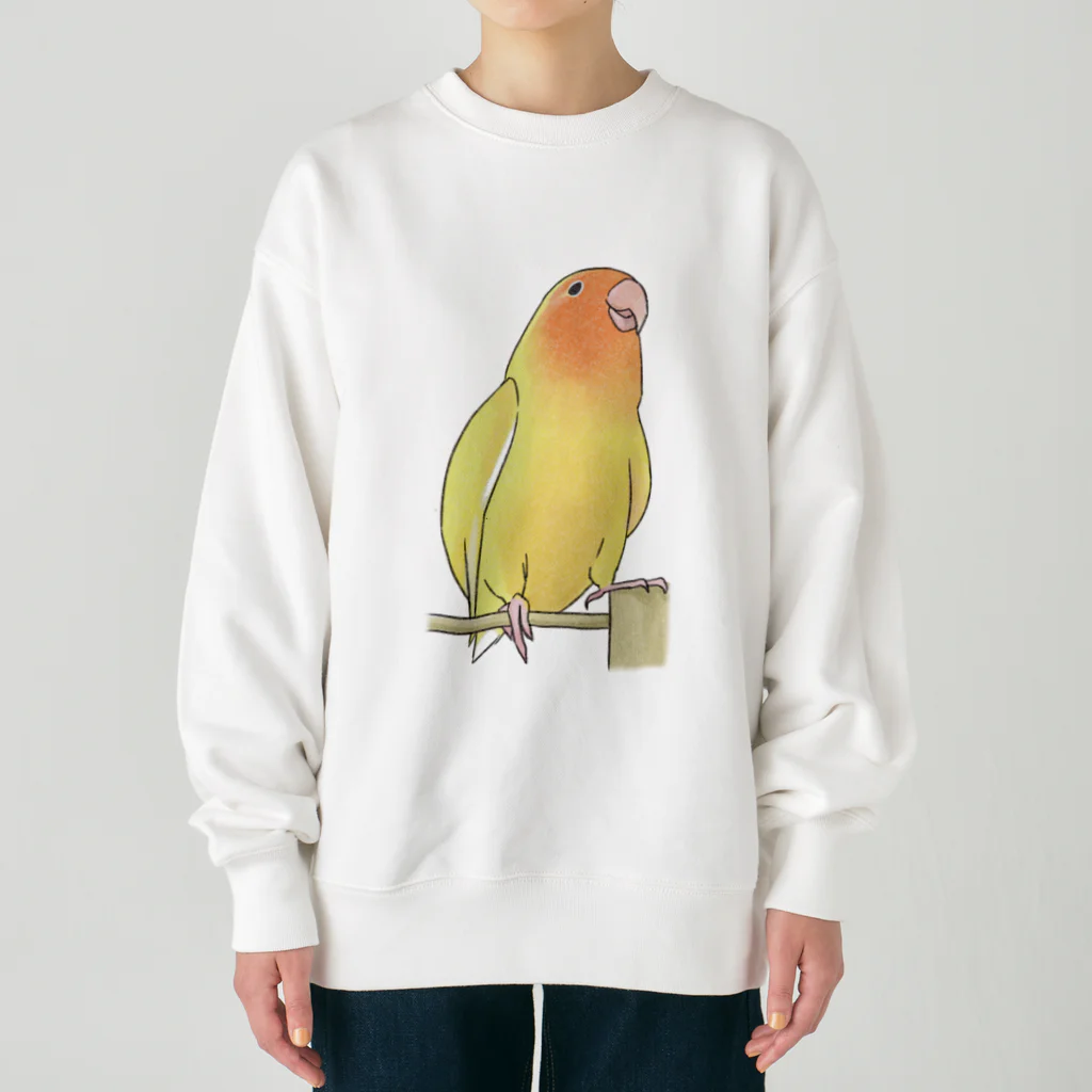 まめるりはことりの得意げ可愛い　コザクラインコちゃん【まめるりはことり】 Heavyweight Crew Neck Sweatshirt