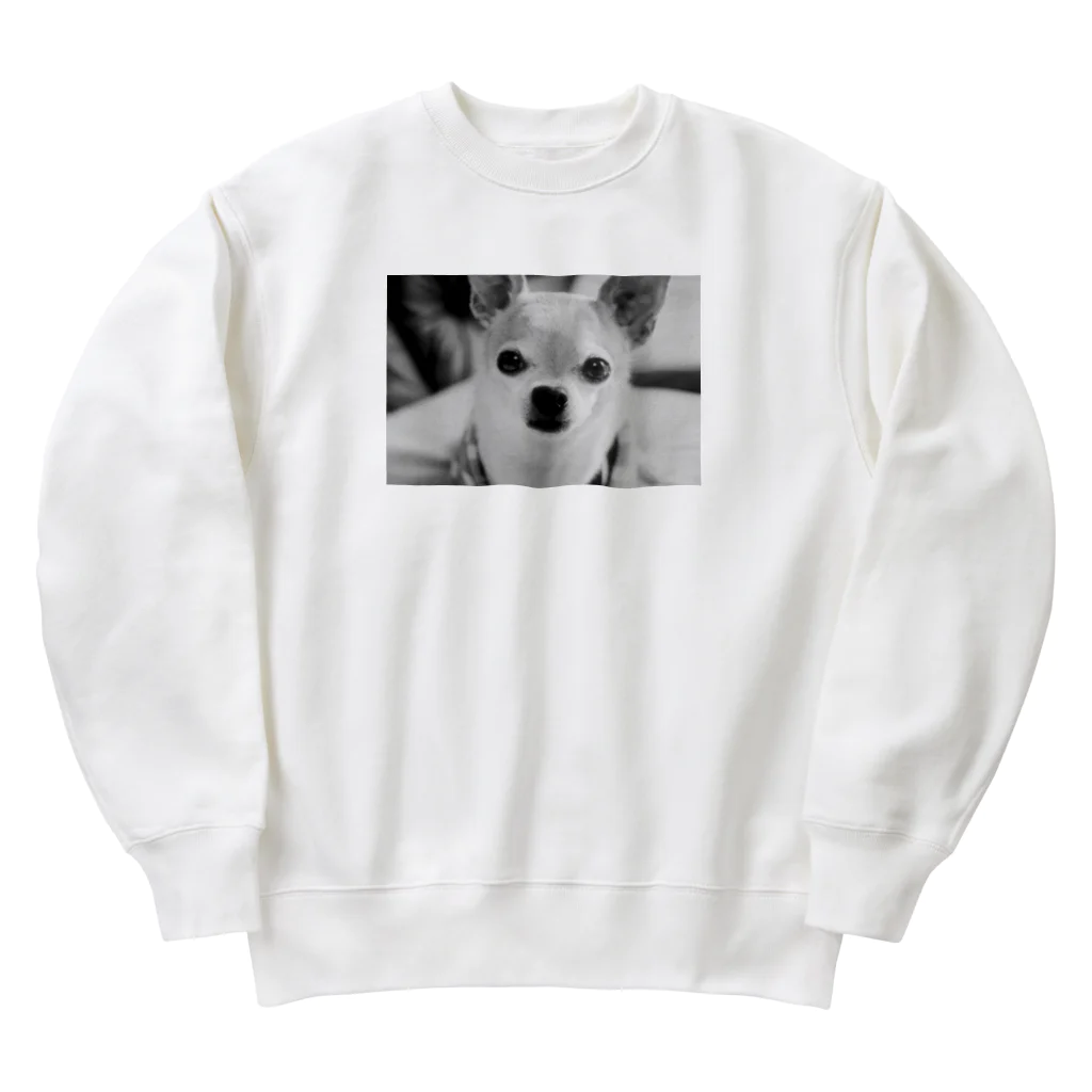 akane_art（茜音工房）のモノクロチワワ（おすまし） Heavyweight Crew Neck Sweatshirt