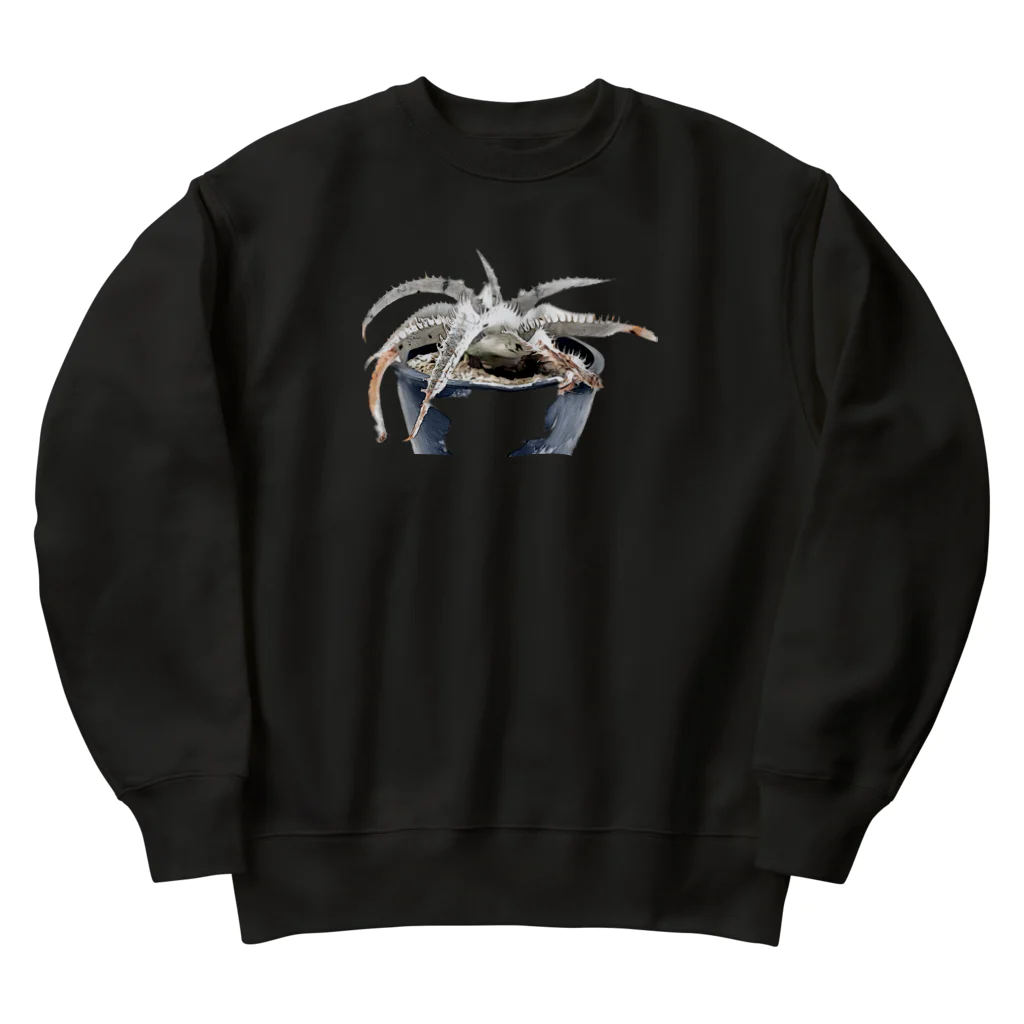 bota.Pのディッキア　マルニエルラポストレイ Heavyweight Crew Neck Sweatshirt