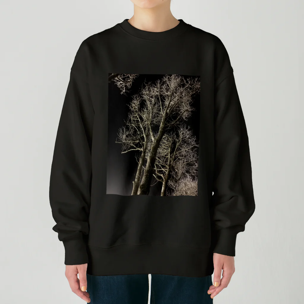 空屋　sorayakusakaの202001121944000　夜の樹木 Heavyweight Crew Neck Sweatshirt