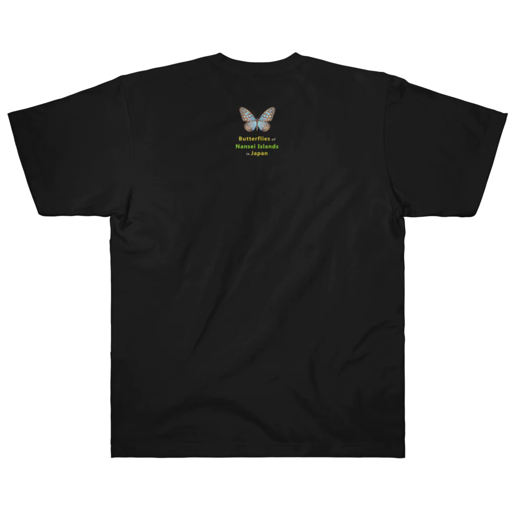 HIGARI BLUEの日本の蝶 Butterflies of Japan 2（南西諸島 Nansei Islands）★英名、和名、学名 [ダークカラー] Heavyweight T-Shirt