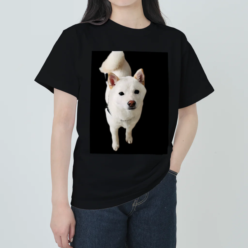 mochiko_hasの白豆柴の餅子 Heavyweight T-Shirt