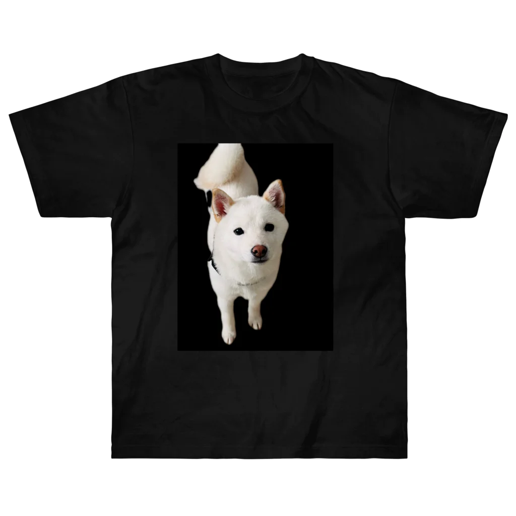 mochiko_hasの白豆柴の餅子 Heavyweight T-Shirt