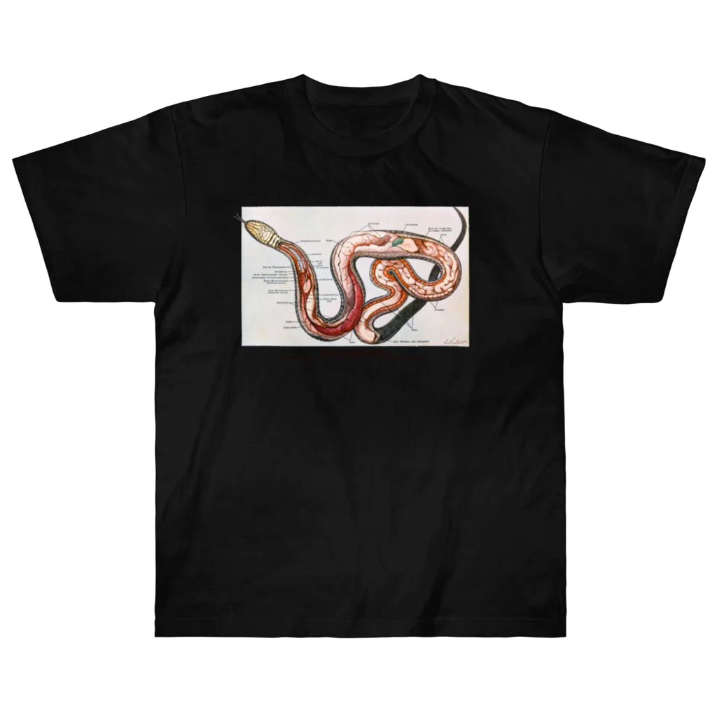 Rubbishのヘビの解剖 ヘビーウェイトTシャツ