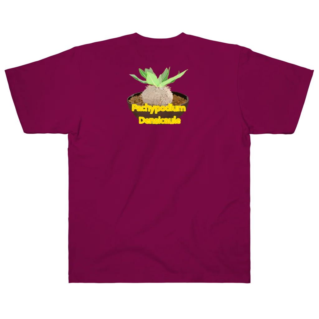 momoのPachypodium Densicaule ヘビーウェイトTシャツ