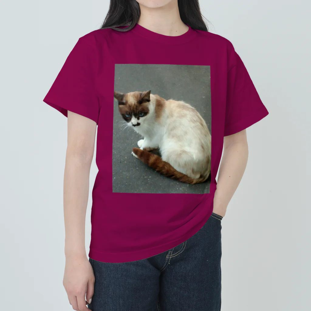 空屋　sorayakusakaの201408161744000　焦げ目の猫 ヘビーウェイトTシャツ