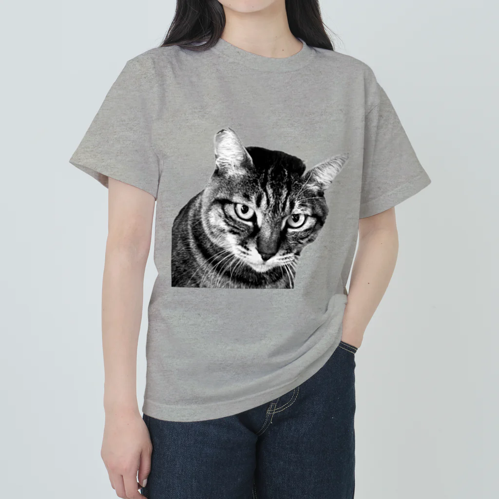 OnePlusDog のCat  “boss” Heavyweight T-Shirt