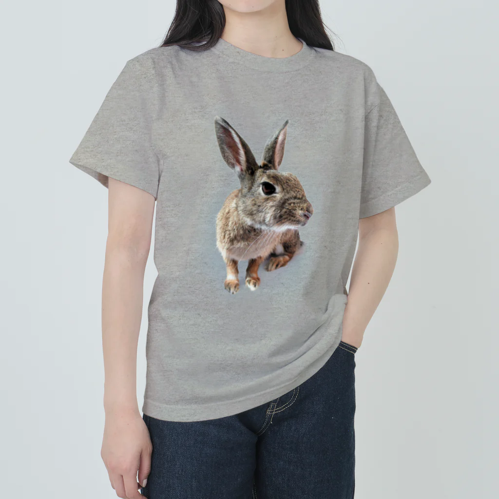 Rubbishのうさぎさん ヘビーウェイトTシャツ