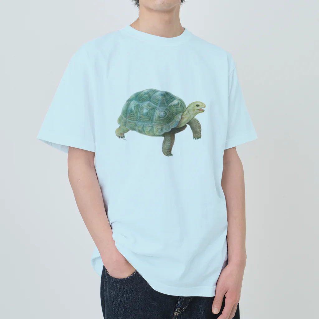 めろんぽっぷのお店だよの踏みだせ、アルダブラゾウガメ。 Heavyweight T-Shirt