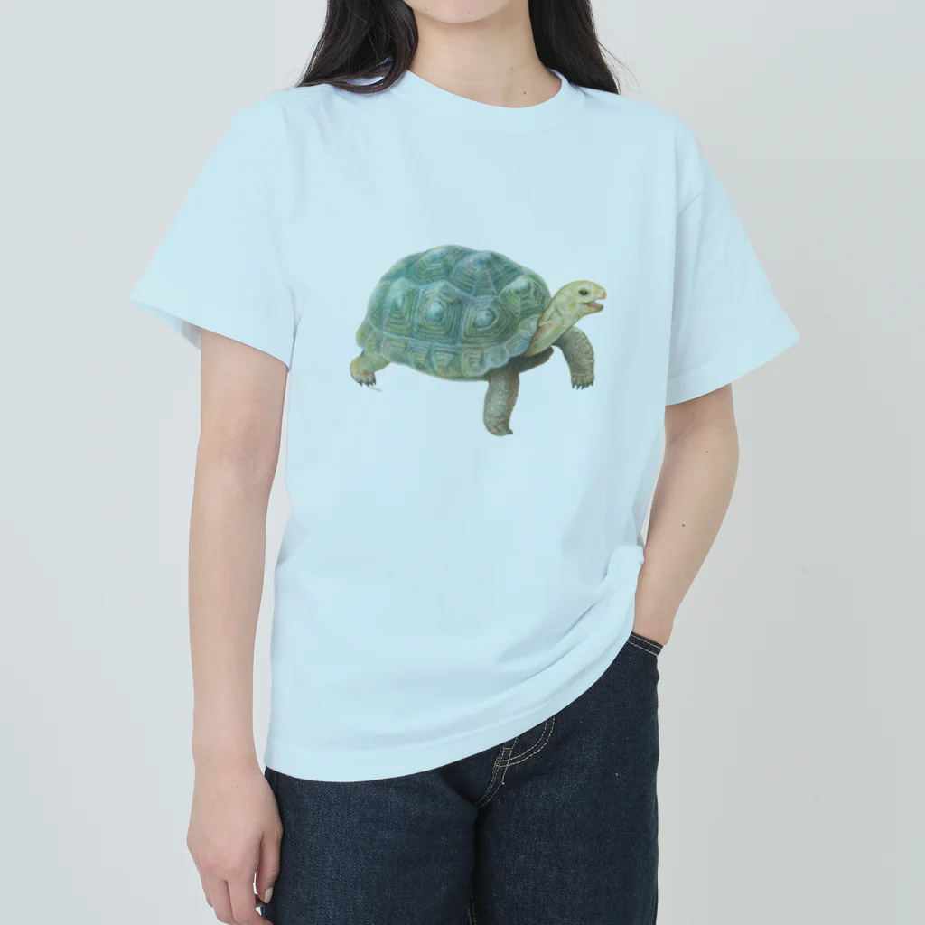 めろんぽっぷのお店だよの踏みだせ、アルダブラゾウガメ。 Heavyweight T-Shirt