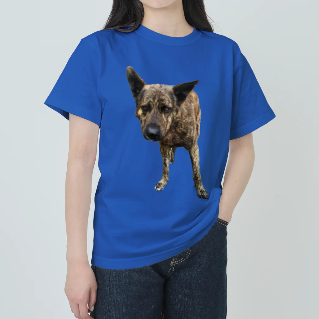 EYE CANDYの愛犬注意 ヘビーウェイトTシャツ