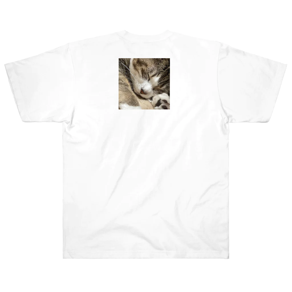 あゆのしおやきの猫(キジシロ) Heavyweight T-Shirt