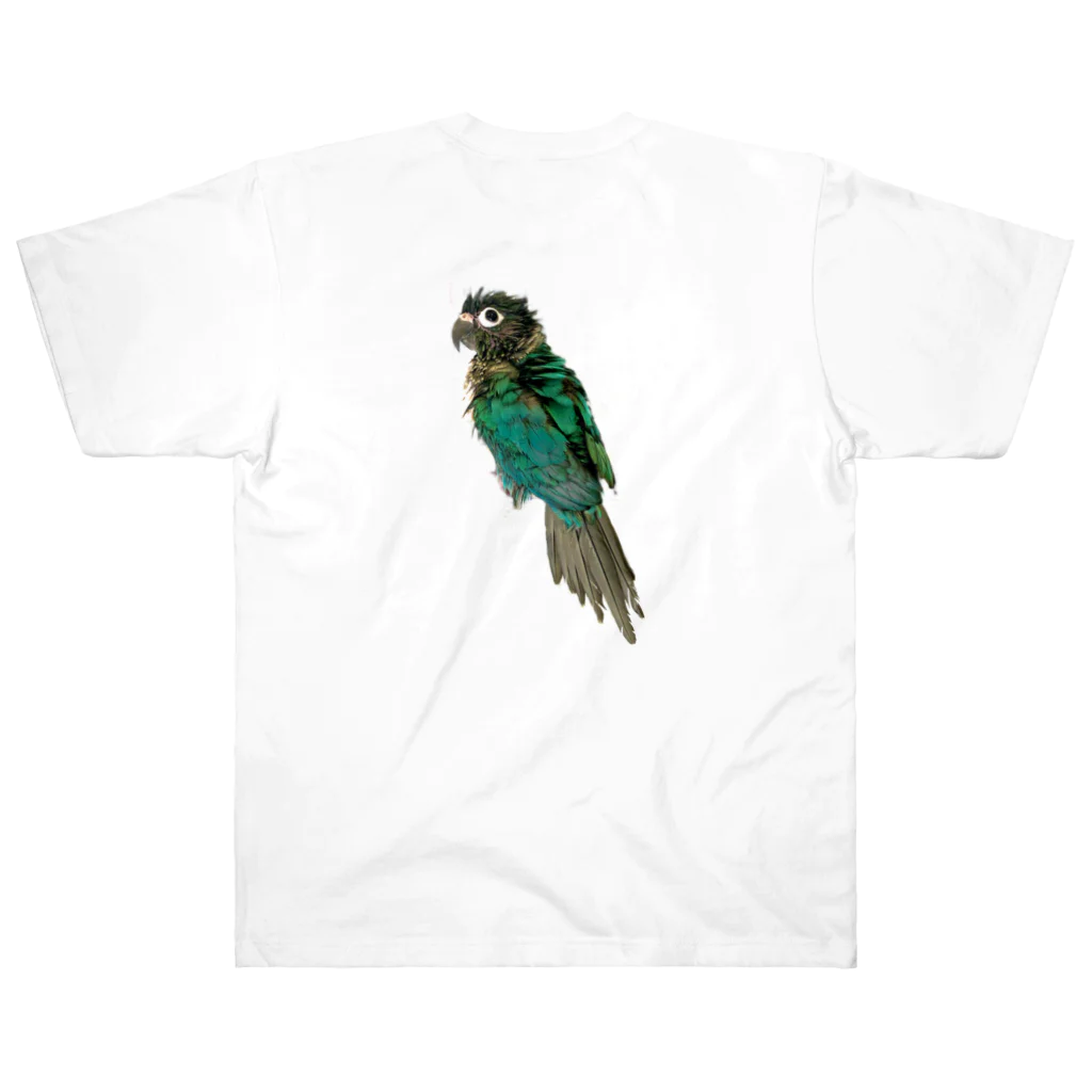 ウロコインコの翠のグッズショップのウロコインコの翠【水浴び後ver】 Heavyweight T-Shirt