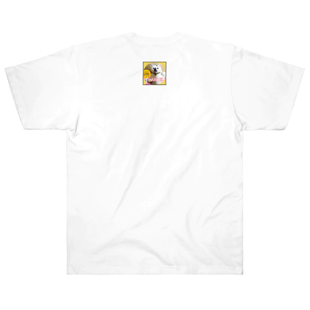 太陽ショップのIcanfly Heavyweight T-Shirt