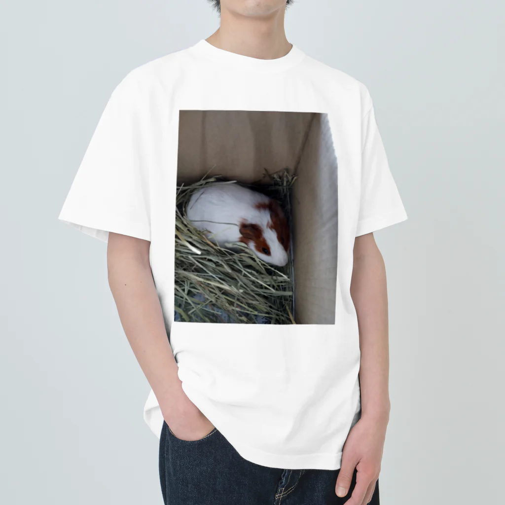 Milkoftheguineapigのモルモットのイヴさん Heavyweight T-Shirt