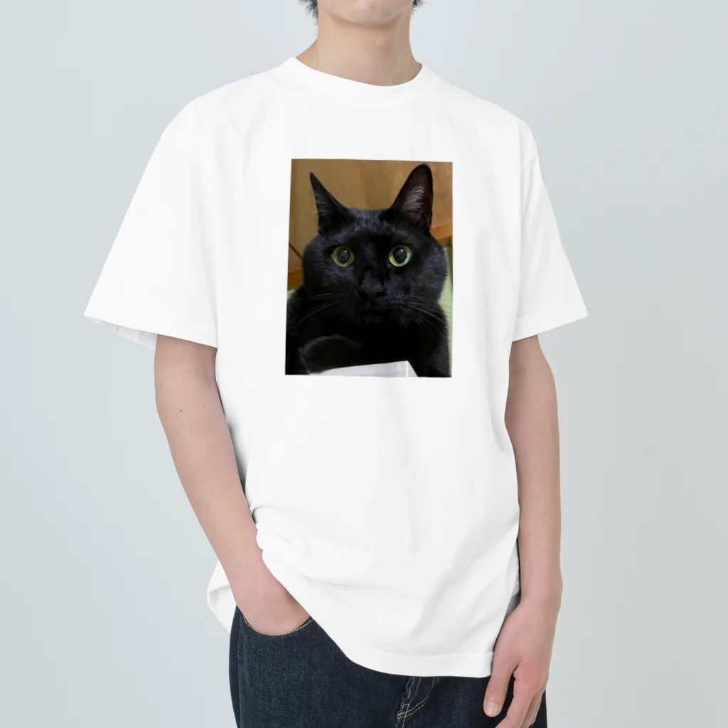 黒猫のひめちゃんの我が家のアイドルひめ ヘビーウェイトTシャツ