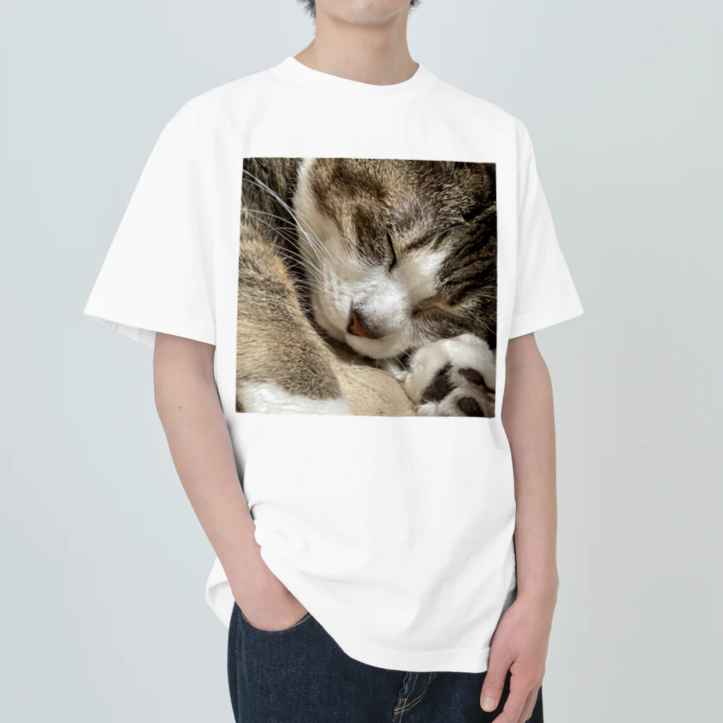 あゆのしおやきの猫(キジシロ) Heavyweight T-Shirt