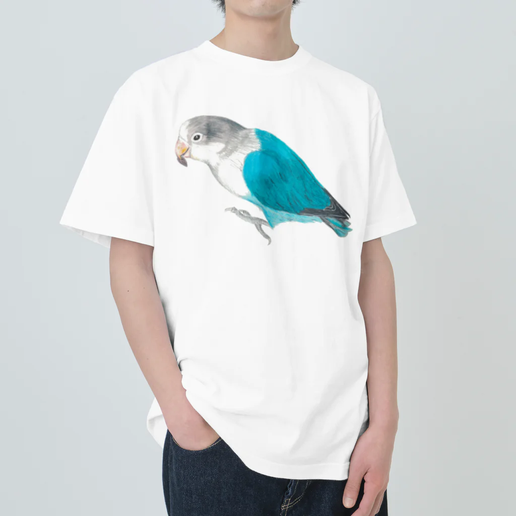 森図鑑の[森図鑑] ブルーボタンインコと種 Heavyweight T-Shirt