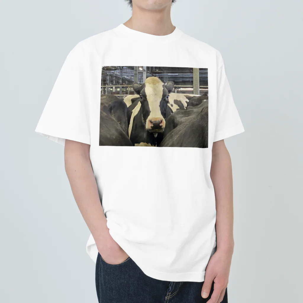 生物スキーの悟り牛 Heavyweight T-Shirt