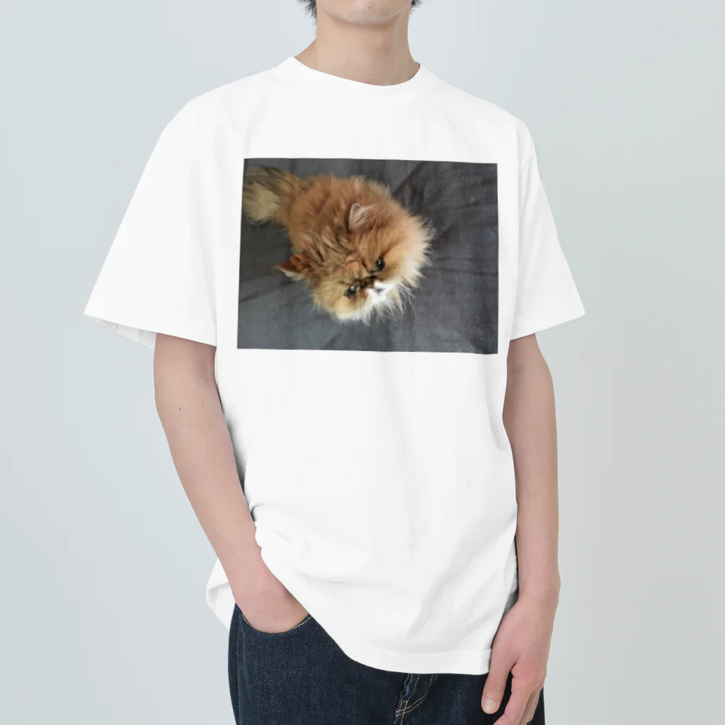 ぶちゃ猫・茶々丸オフィシャルショップのぶちゃ猫・茶々丸 Heavyweight T-Shirt