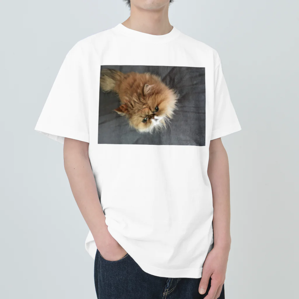 ぶちゃ猫・茶々丸オフィシャルショップのぶちゃ猫・茶々丸 ヘビーウェイトTシャツ