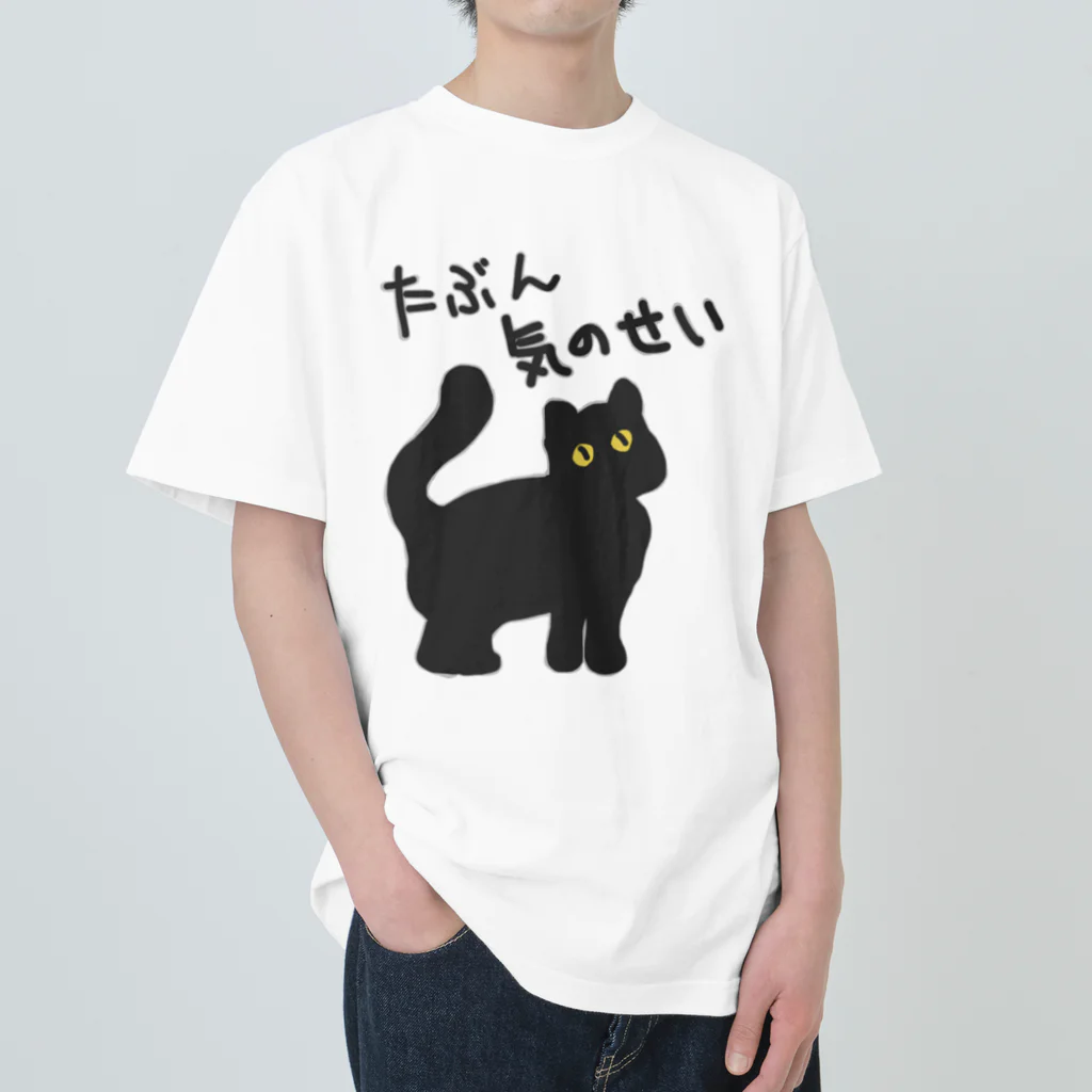 ミナミコアリクイ【のの】のたぶん気のせい【黒猫】 Heavyweight T-Shirt