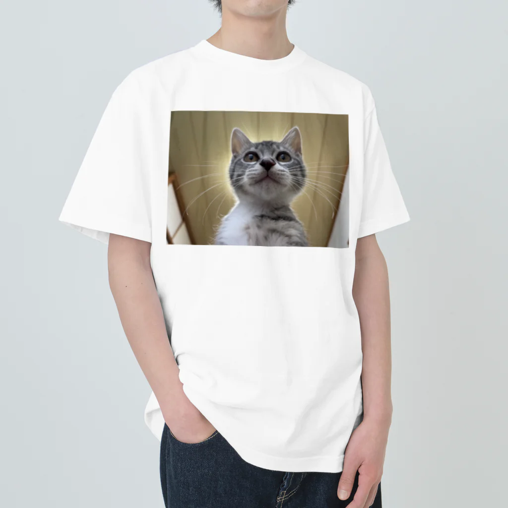 Vegeta_cat22の保護猫ベジータ　神 Heavyweight T-Shirt