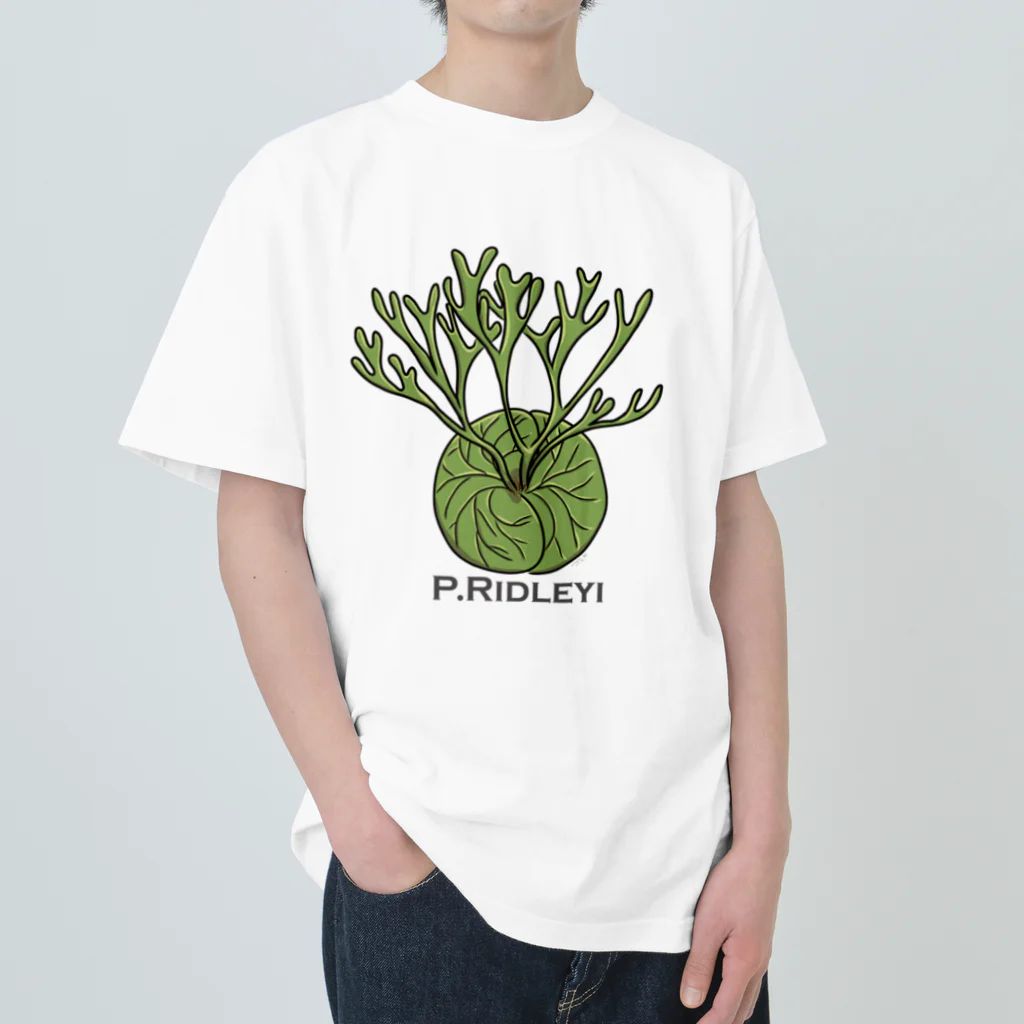 PLANTs　-プランツ-の「リドレE-2」 ヘビーウェイトTシャツ