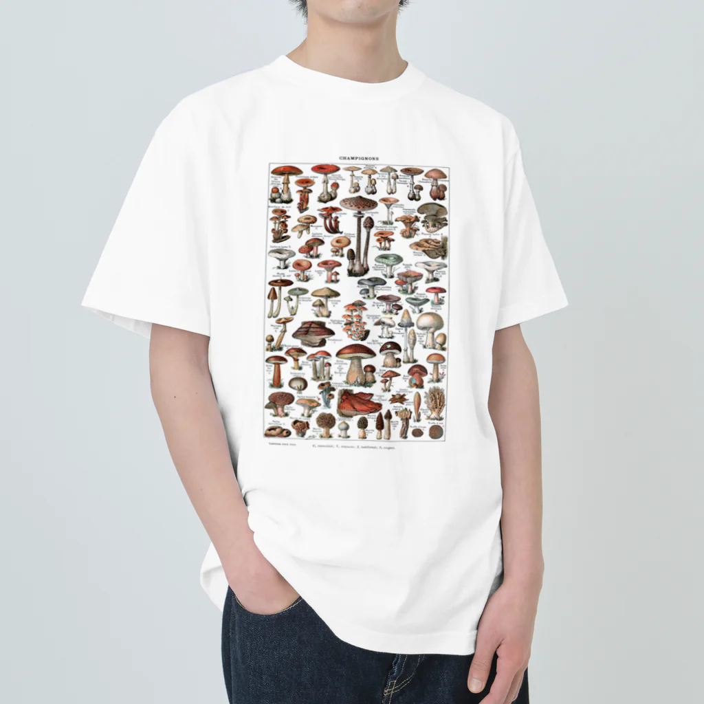 MUGEN ARTのきのこ図鑑　ヴィンテージボタニカルアート ヘビーウェイトTシャツ