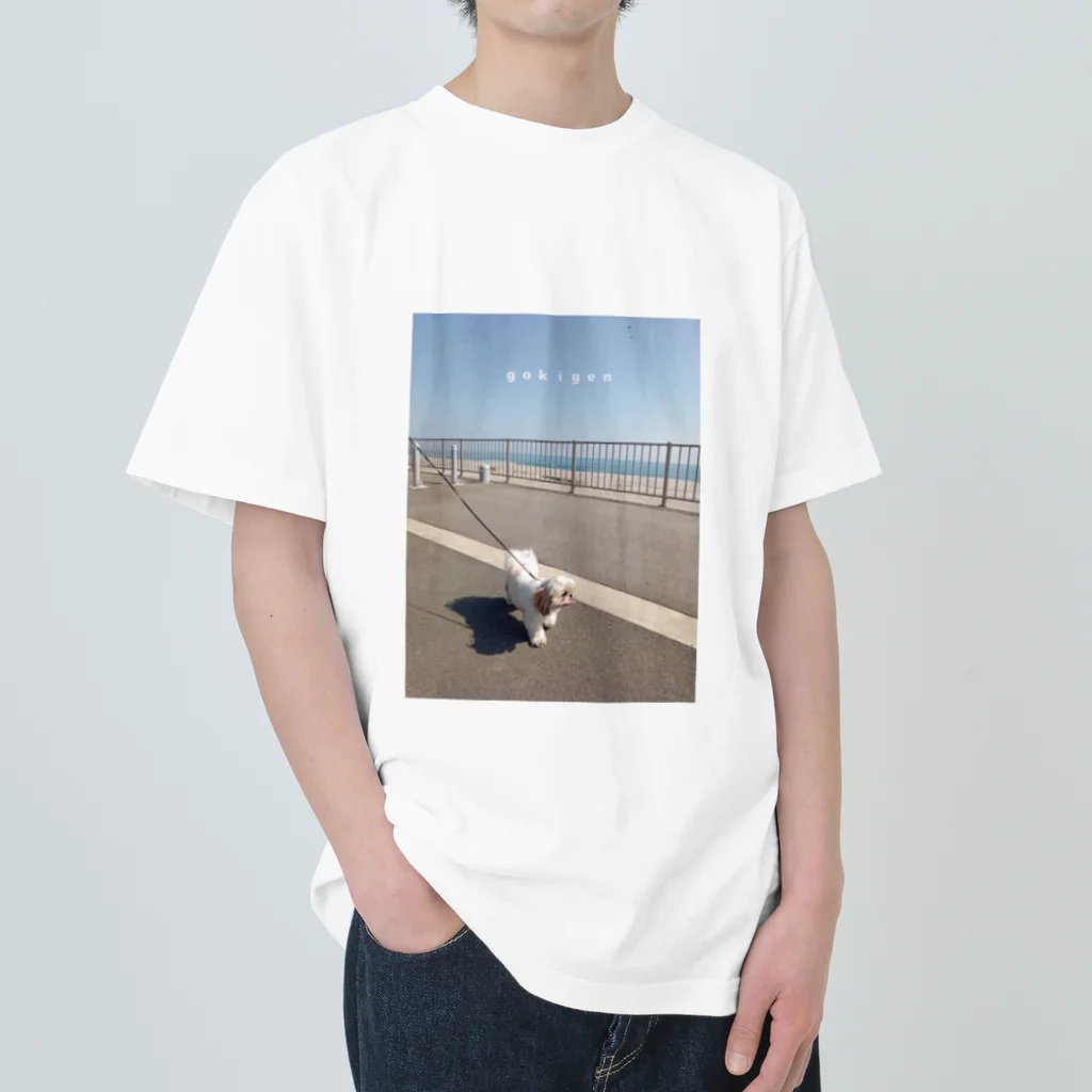 𝘢𝘬𝘢𝘯𝘦のｇｏｋｉｇｅｎ　ｏｓａｎｐｏ ヘビーウェイトTシャツ