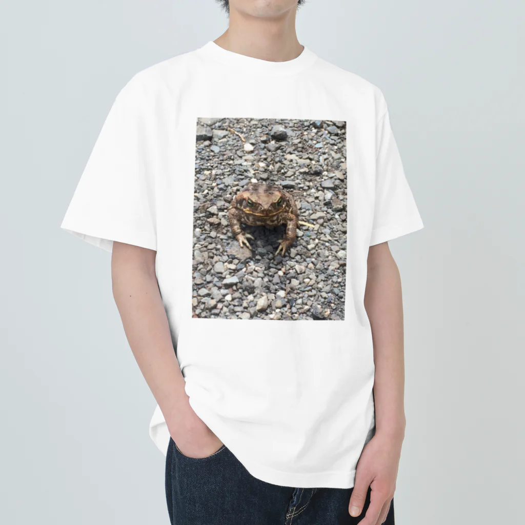 shirankedo_46のカエル Heavyweight T-Shirt