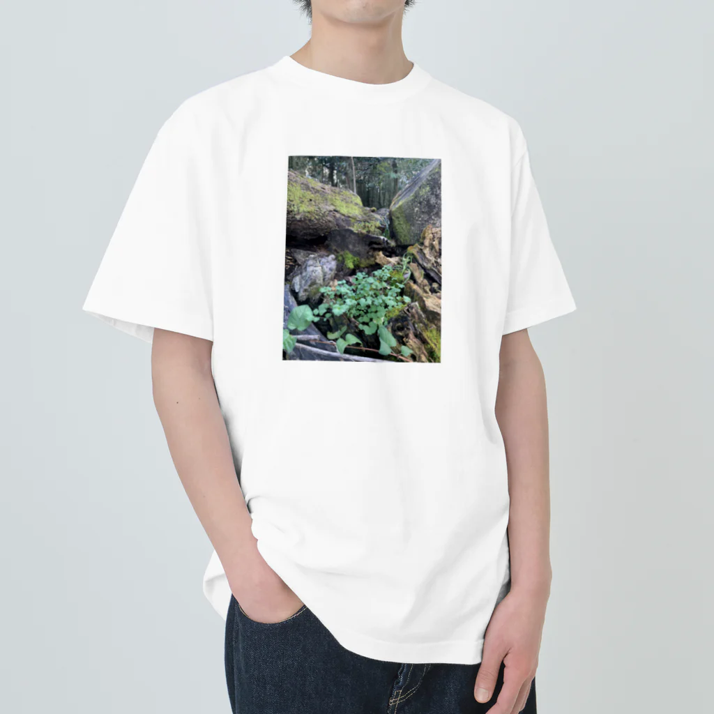 FIRE FLYの多様性の森 Heavyweight T-Shirt