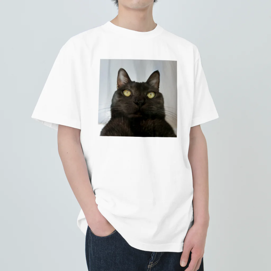 僕の撮る猫は可愛くないのchikuwa Heavyweight T-Shirt