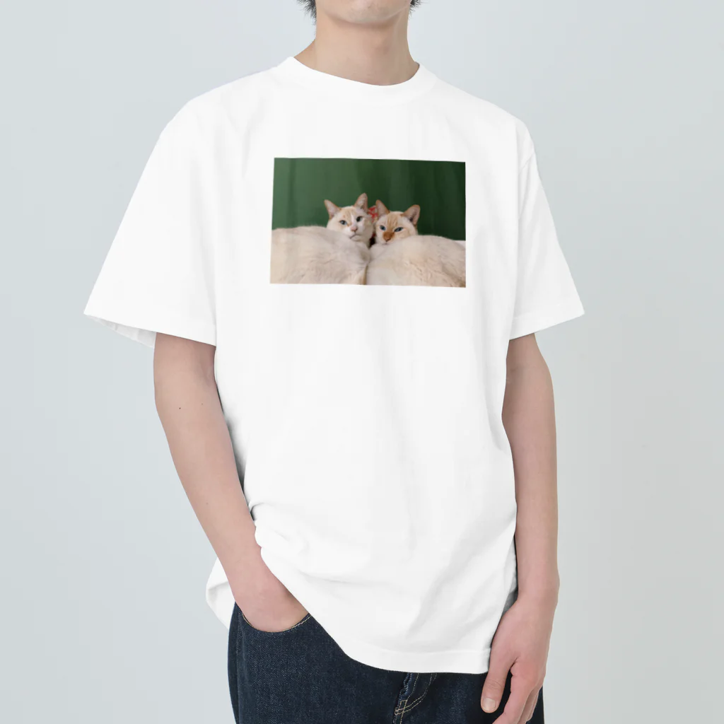 ぽんぽこのみせのぽんぽこ_ええとこの猫シリーズ① ヘビーウェイトTシャツ