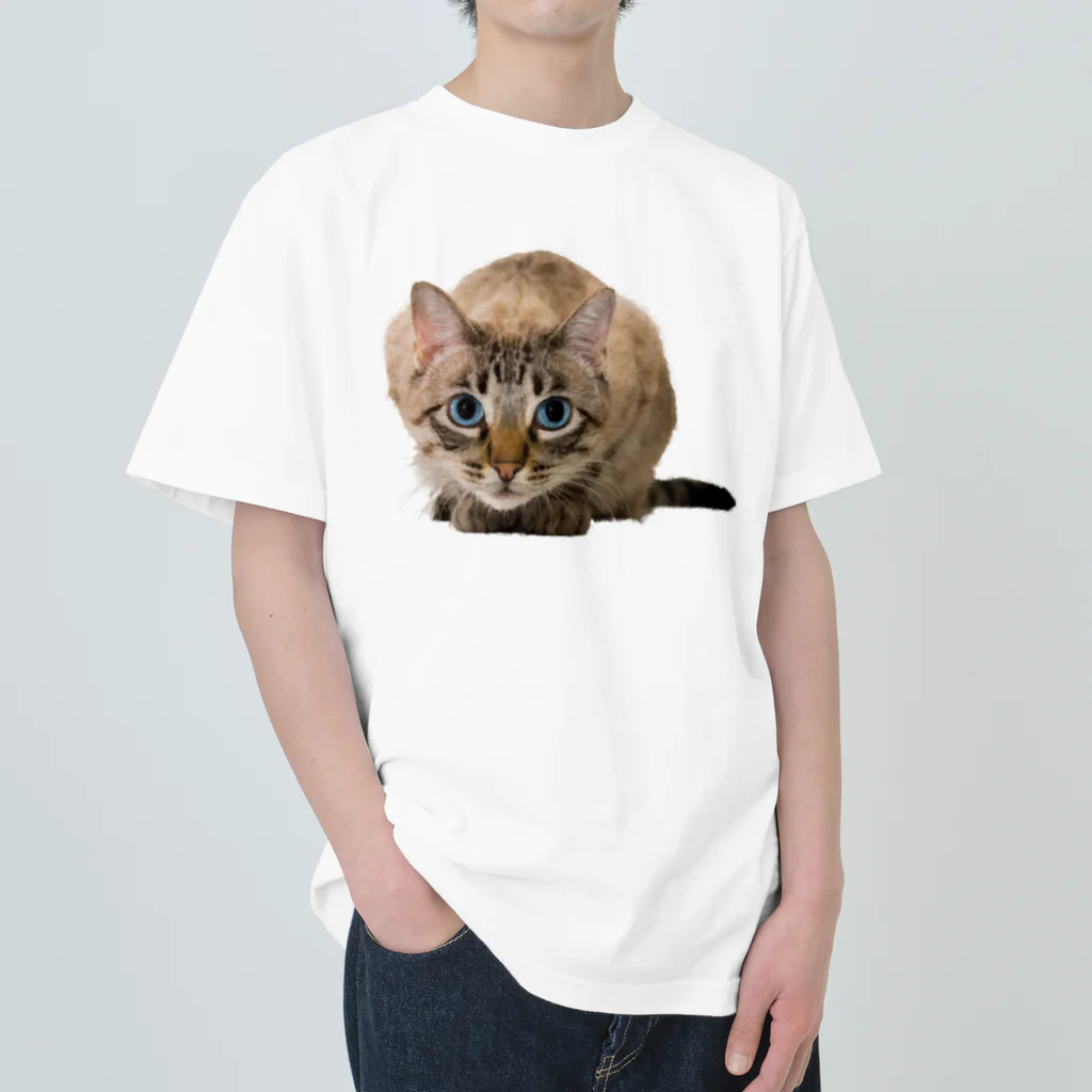 bitpiyoのねこちゃん ヘビーウェイトTシャツ